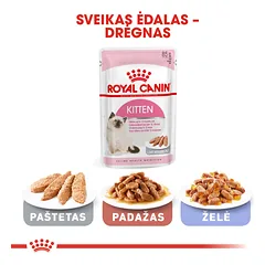 ROYAL CANIN FHN Kitten sausas maistas kačiukams 400 g — 5 nuotrauka