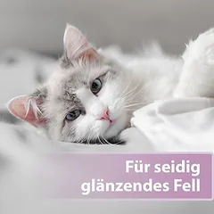 Felisept kailio priežiūros purškalas katėms, 250 ml — 3 nuotrauka