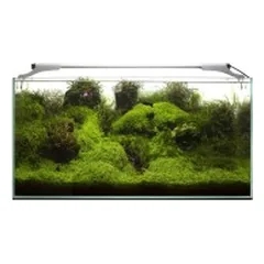 Leddy Slim Plant, 32 W, 80-107 cm, baltas — 3 nuotrauka