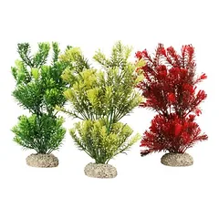 Aqua Della akvariumo augalas Kanados barvinkas, Matmenys: 13 cm — 2 nuotrauka