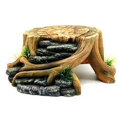 REP NOVA terariumo dekoracija kelmas 23x22x9cm