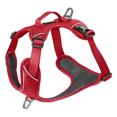 KYFLIE Momentum petnešos šunims M, raudonos — 1 nuotrauka