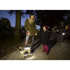 Flexi LED Lighting System šviesiai pilka apšvietimo sistema ritinėlių pavadėliams S/M/L — 5 nuotrauka