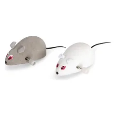 CAMON prisukama pelė katei 5cm — 2 nuotrauka