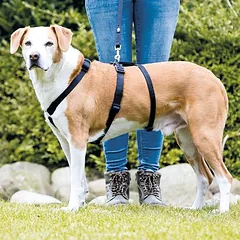 Trixie Sicherheitsgeschirr Stay, schwarz