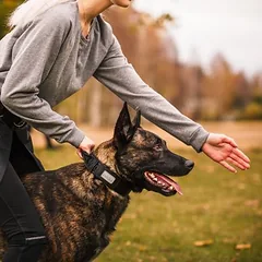 Rukka antkaklis Mission, juodas, Vidutiniams 11–25 kg — 5 nuotrauka