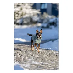 Trixie CityStyle Berlin megztinis, XS: 24 cm, šalavijo