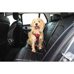 KONG Seat Belt – saugos diržas šunims — 5 nuotrauka