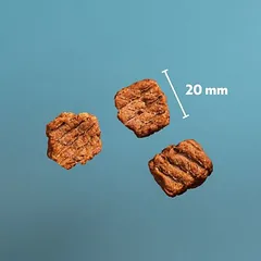 PrimaDog Northern Treats skanėstai šuniukams, 125 - 249 g — 3 nuotrauka
