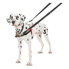 Halti Front Control treniruočių petnešos, Dydis S: Krūtinės apimtis 36 - 64 cm — 5 nuotrauka