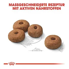 Royal Canin Maxi Sterilised sausas maistas šunims — 3 nuotrauka