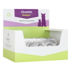 Stangest GlutaVet maisto papildas šunims ir katėms - Pet24