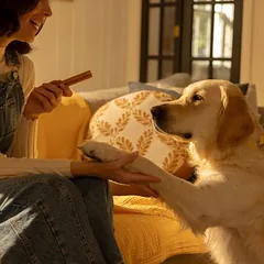 Pedigree DentaStix kasdienė dantų priežiūra / Fresh ekonominė pakuotė, skanėstai šunims 168 vnt. — 2 nuotrauka