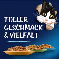  88 x 85 g / 88 x 80 g Felix Pouches zum Sonderpreis!