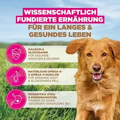 Eukanuba Grain Free Adult Large su ėriena, sausas maistas šunims — 4 nuotrauka