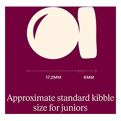 Carnilove True Fresh Junior Large Breeds su antiena, sausas maistas šunims — 4 nuotrauka