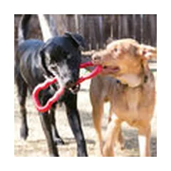 KONG Tug Medium - dog toy — 4 nuotrauka