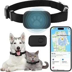 GPS-Halsband für Katzen ohne Abonnement – Echtzeit, wasserdicht nach