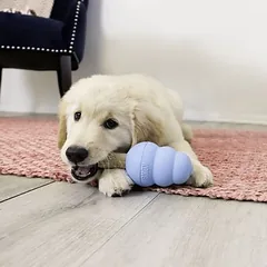 KONG Ziggies Enhanced Puppy skanėstai šuniukams — 5 nuotrauka
