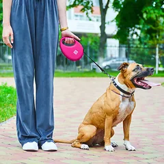 Automatinis šunų pavadėlis su maišelių dėtuve, atspindintis šviesą, M dydis, iki 20 kg — 2 nuotrauka