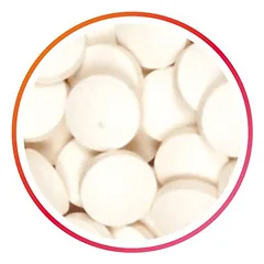 Beaphar Top 10 vitaminizuotas papildas šunims su vitaminais, mineralais ir L-karnitinu, 180 vnt. — 2 nuotrauka