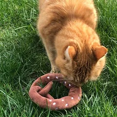 Aumüller Katzenspielkissen Plüsch-Brezel