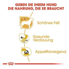 Royal Canin Chihuahua Mousse drėgnas maistas šunims — 3 nuotrauka