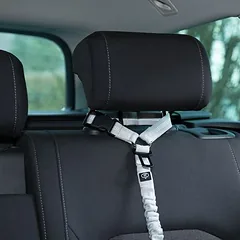 Nomad Tales Calma saugos diržas šunims automobilyje, 58–75 cm ilgio, 25 mm pločio (akmens spalvos) — 4 nuotrauka