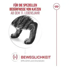 Royal Canin Ageing 11+ in Soße