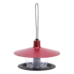 Lauko paukščių lesyklėlė Finch burgundy