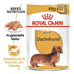 Royal Canin Dachshund Adult drėgnas maistas, papildantis sausą maistą šunims