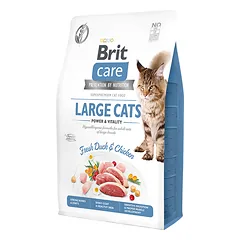Brit Care Cat GF Large cats Power&amp;Vitality s.m. katėms