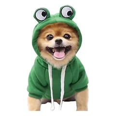 MCBOSON Welpen-Hoodie, Fruchtpullover
