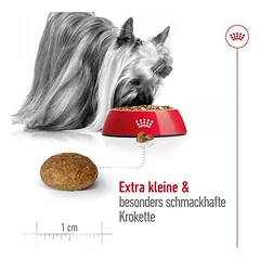 Royal Canin X-Small Adult 8+ sausas maistas šunims, 3 kg — 5 nuotrauka