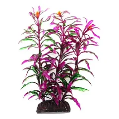 AQUA NOVA plastikinis augalas Hygro Araguais 20cm