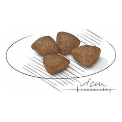 Royal Canin SHN Mini Starter - Mother & Babydog sausas maistas šunims 8 kg — 3 nuotrauka