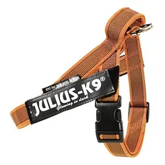 Julius-K9 IDC® Color & Grey Gurtgeschirr, orange/grau