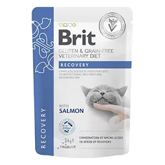 Brit Veterinary Diets Recovery konservai katėms nuotrauka