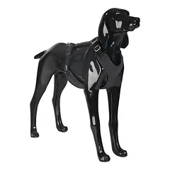 PAIKKA atspindinčios petnešos šunims Visibility Harness, dark