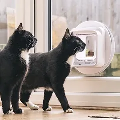 SureFlap Connect kačių durelės su mikroschema, SureFlap mikroschemų kačių durelės baltos (naudojamos tik su SureFlap Hub) — 4 nuotrauka