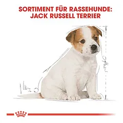 Royal Canin Jack Russell Puppy sausas maistas šunims, 3 - 4,9 kg — 3 nuotrauka