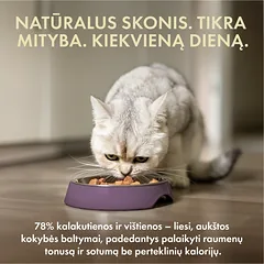 Visų veislių suaugusių sterilizuotų kačių šlapias pašaras su kalakutiena ir vištiena, 85 g — 2 nuotrauka