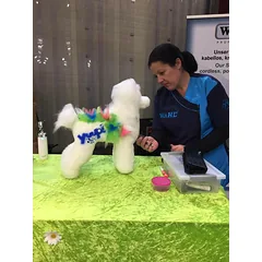 Yuup! Professional Cordless Airbrush - profesionalus belaidis oro teptukas kailio dažymui — 2 nuotrauka