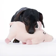 TIAKI pliušinis žaislas šunims Oink, apie L 25,5 x B 7 x H 14 cm — 3 nuotrauka