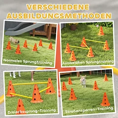 Agility rinkinys 80 × 22,5 × 30 cm — 5 nuotrauka