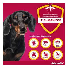 Advantix® 100 Spot-on šunims, 4-10 kg — 3 nuotrauka