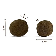 bosch Mini Junior, > 10 kg — 3 nuotrauka