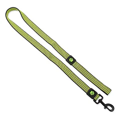 Active Dog Leash Strong L tvirtas nailono pavadė dideliems šunims su atspindinčia gija, žalios spalvos, 2,5×120 cm — 4 nuotrauka