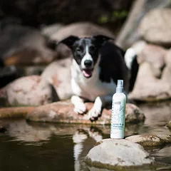 GREENFIELDS Dog Spray & Go sausas šampūnas šunims, 270 ml — 3 nuotrauka