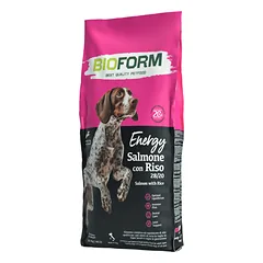 BIO FORM Dog Salmon CENNAMO sausas maistas šunims
